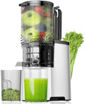 Extracteur de Jus a Froid - 5.8"