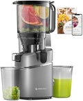 Extracteur de Jus AMZCHEF